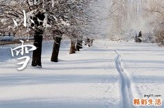 2024年小雪节气吃什么