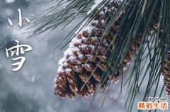 2024年小雪节气几月几日几时 小雪节气谚语
