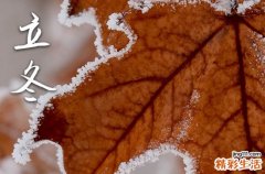 中国立冬吃什么食物2024
