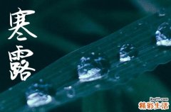 2024寒露是農(nóng)歷哪一天 2024年寒露定親行不行