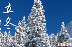 2024年立冬吃饺子的寓意是什么