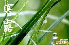 2024年寒露是什么时候 2024年寒露弄上梁好不好