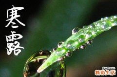 2024年寒露时间是什么时候 2024年寒露是开仓的好日子吗