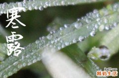 2024年今年寒露是几月几号 2024寒露那天买车好不好