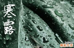 2024年寒露是几月几日 2024年寒露安葬可以吗