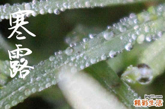 2024年寒露几月几日 2024年寒露入宅可以吗