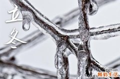 2024年立冬风俗吃啥