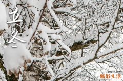 立冬是几月几号2024年立冬 立冬节气划分方法