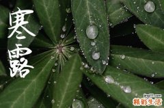 2024年寒露是哪一天 2024年寒露弄拆墙适合吗