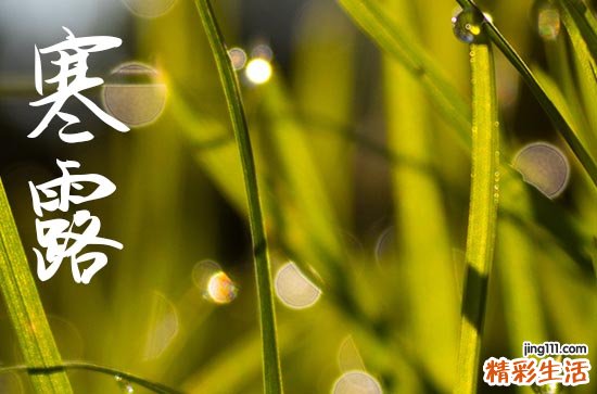 2024年寒露是多少号 2024年寒露弄开仓好不好