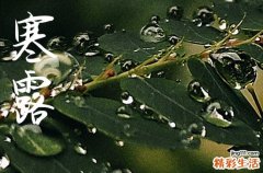 2024年今年寒露是几月几号 2024年寒露弄祈福好吗