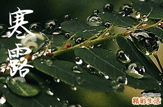 2024年今年寒露是几月几号 2024年寒露弄祈福好吗