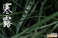 2024年寒露农历时间 2024年寒露弄装修动工好吗