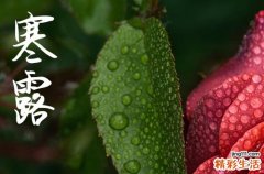 2024年寒露是什么时候时间 2024年寒露领证可以吗