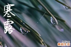 2024年寒露农历时间 2024年寒露定亲吉利吗