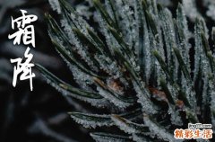 2024霜降是農(nóng)歷幾月幾日