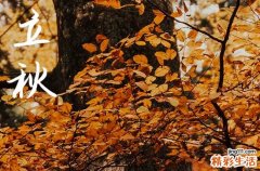 什么是立秋? 立秋风俗有哪些