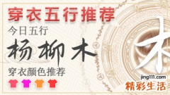 2024年五行穿衣11月14日 2024年每日五行穿衣法