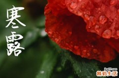 2024年寒露是几点几分几秒 2024年寒露可以开光吗