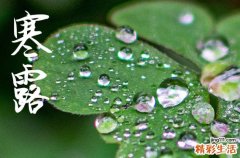 2024年寒露是哪一天 2024年寒露能装修吗