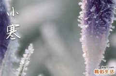 通用50句 小寒节气祝福语录大全