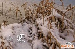 小寒养生祝福寄语30句