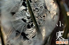 小寒暖心祝福說說40句