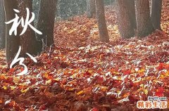 秋分暖心祝福说说30句