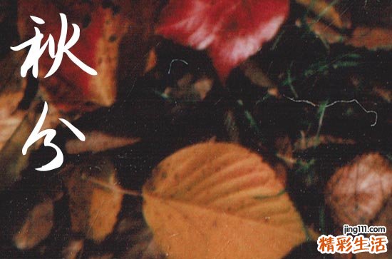 精选30句 秋分暖心祝福说说