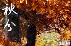 秋分节气祝福句子50句