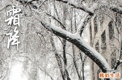 2024年霜降一般是在几月几日开始 霜降历史渊源