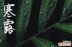 2024年寒露是几月几日 2024年寒露办丧事可以吗