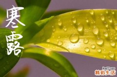 2024年寒露时间是什么时候 2024年寒露适合入宅吗