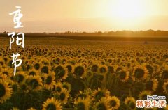2024年重阳节是几月几号农历 重阳节习俗