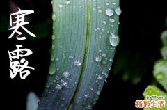 寒露是2024的几月几日 2024寒露当天可以拆墙吗