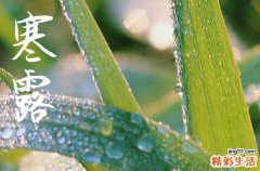 2024年今年寒露是几月几号 2024年寒露适合安床吗