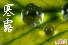 2024年寒露是多少号 2024寒露那天装修动工好不好