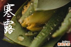 2024年今年寒露是几月几号 2024年寒露弄定亲可以吗