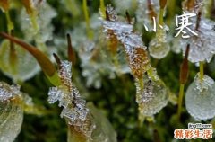 精选40句 小寒手机短信祝福语