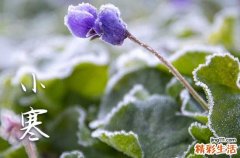 小寒养生祝福寄语大全50句