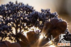 精选50句 小寒客户祝福短信