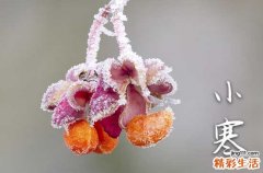 小寒温馨祝福短信30句精选