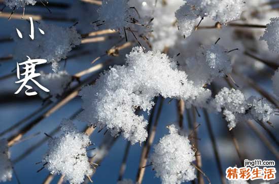 精选40句 小寒节气祝福语录