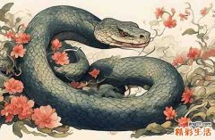 2001年属蛇五行缺啥