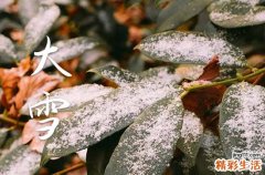 大雪养生问候祝福语30句