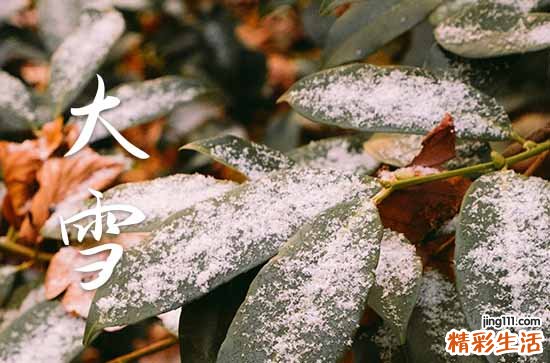 大雪养生问候祝福语30句