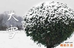 大雪客户祝福短信30句