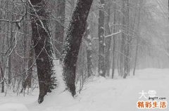 通用60句 大雪手机短信祝福语汇总