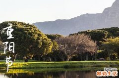 2024年重陽(yáng)節(jié)幾號(hào) 重陽(yáng)節(jié)的別名