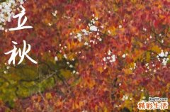 今日立秋幾時幾分,2024年7日8時9分立秋